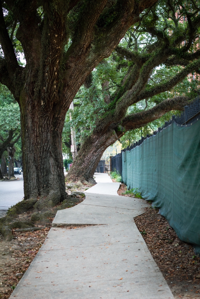 What About Me?: Accessibility In New Orleans